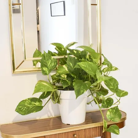 Appartement Letmalaga Store Carts 2a